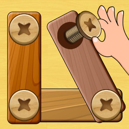 Wood Nuts & Bolts Puzzle 